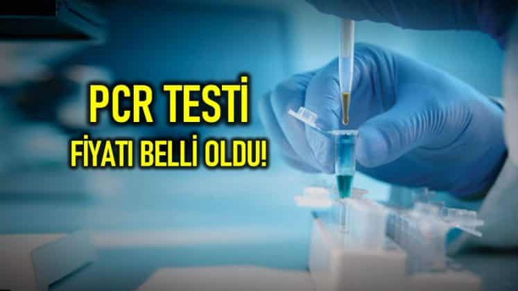 PCR testi referans aralığı negatif ne demek?