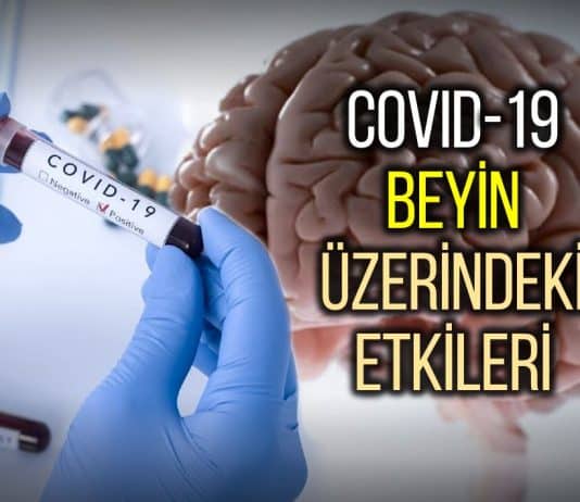 covid 19 beyin sinir sistemi