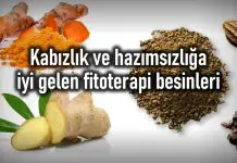 Kabızlık ve hazımsızlık sorunlarına iyi gelen fitoterapi ürünleri Kabızlık hazımsızlık iyi gelen