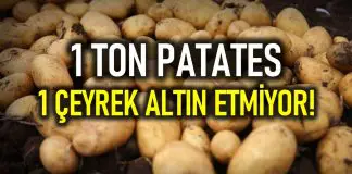 Çiftçi perişan: 1 ton patates 1 çeyrek altın bile etmiyor! patates fiyatı