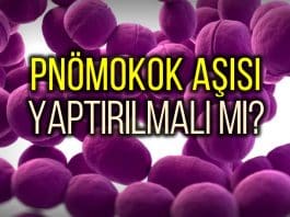Pnömokok aşısı