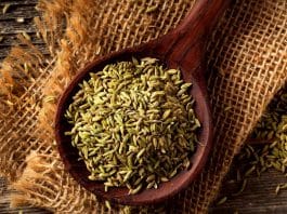 emziren annelere besinler