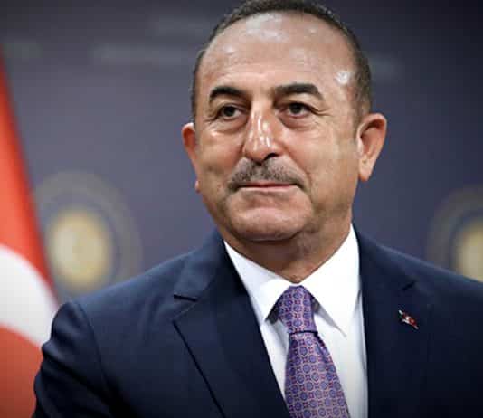 Çavuşoğlu suriyeli
