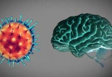 Covid-19 pandemisi beynimizi etkiler mi? covid beyin