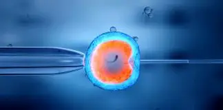 Tüp bebek tedavisine başlayacak çiftlere 10 öneri Tüp bebek tedavisine
