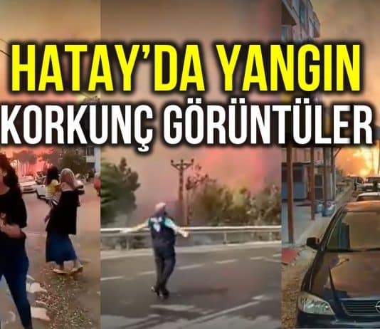 hatay yangın