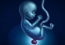 Spina bifida hastalığı nedir folik asit eksikliği