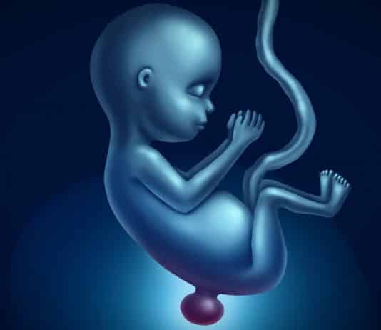 Spina bifida hastalığı nedir folik asit eksikliği