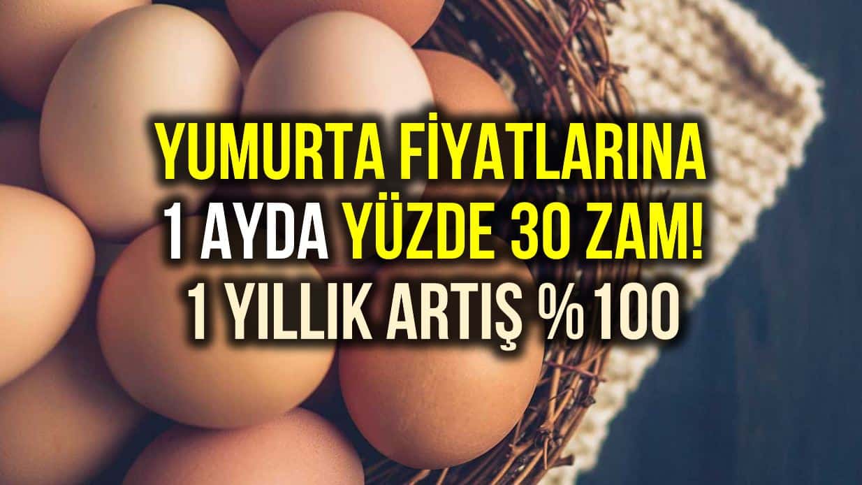 Yumurta fiyatlarındaki yükseliş