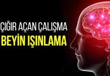 Beyin ışınlama gerçek oluyor: Bilim insanlarından çığır açan çalışma! beyin ışınlama