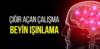 Beyin ışınlama gerçek oluyor: Bilim insanlarından çığır açan çalışma! beyin ışınlama