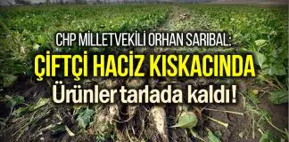Çiftçi haciz kıskacında: Borç çığ oldu, ürünler tarlada kaldı! orhan sarıbal Çiftçi haciz kıskacında