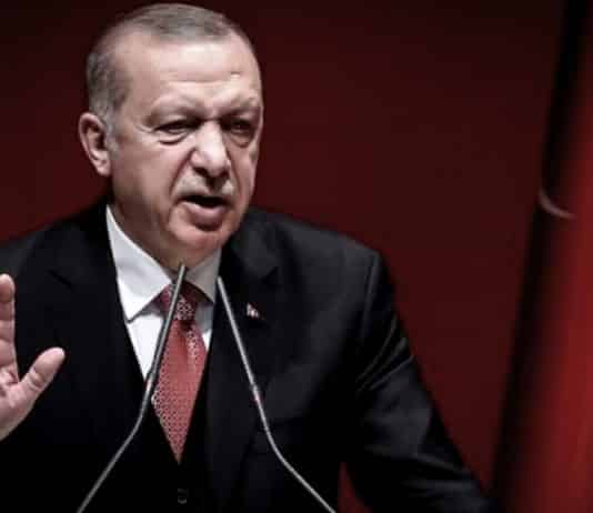 cumhurbaşkanı erdoğan hakaret