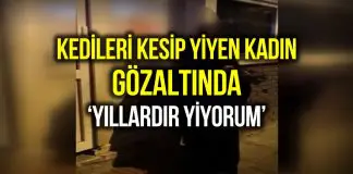 Kedi kesip yiyen kadın gözaltına alındı: Yıllardır yiyorum Kedi kesip yiyen kadın gözaltına alındı: Yıllardır yiyorum