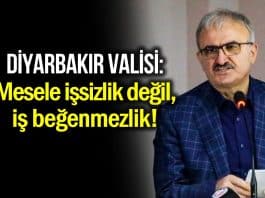 Diyarbakır Valisi Münir Karaloğlu: Mesele işsizlik değil, iş beğenmezliktir!