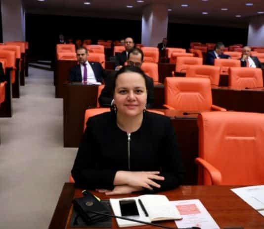 nilgün ök 18 yıl önce araba