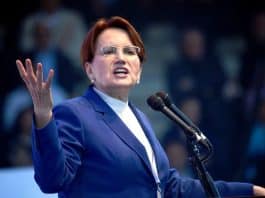 meral akşener