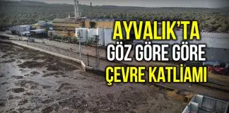 Ayvalık’ta çevre katliamı: Fabrikadan tonlarca atık doğaya yayıldı! Ayvalık çevre katliamı: Tonlarca atık yayıldı!