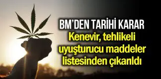 BM, kenevir ve türevlerini riskli narkotik listesinden çıkardı! BM, kenevir (esrar) ve türevlerini narkotik maddeler listesinden çıkardı