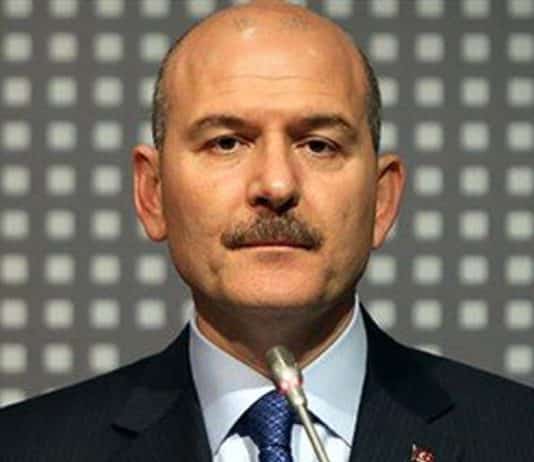 soylu