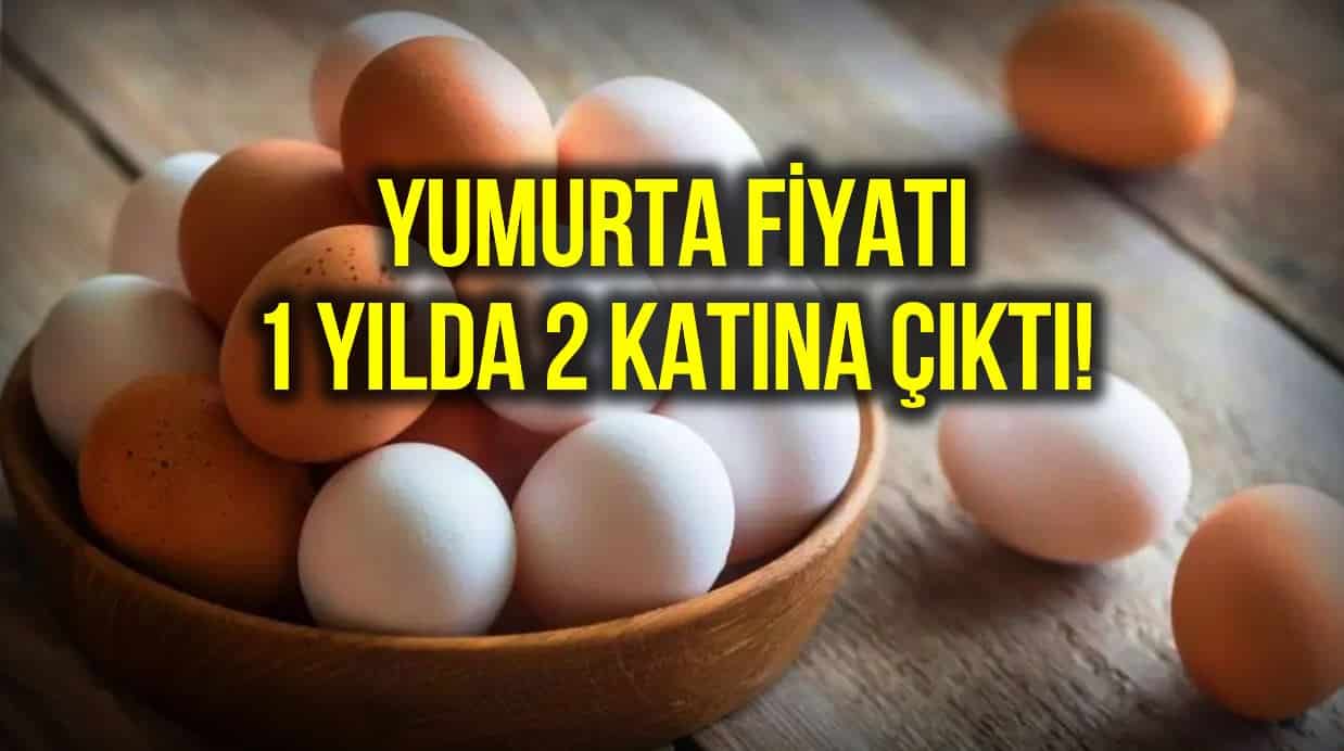 Yumurta fiyatı 2 katına çıktı: Bir aile ayda 150 TL sadece yumurtaya veriyor!