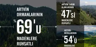 Artvin’de çevre katliamı: Maden ruhsatları tarımı bitirecek, doğa yok edilecek! artvin maden