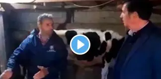 Borçları yüzünden ineklerini satmak isteyen çiftçi: Artık asgari ücrete bile razıyım!
