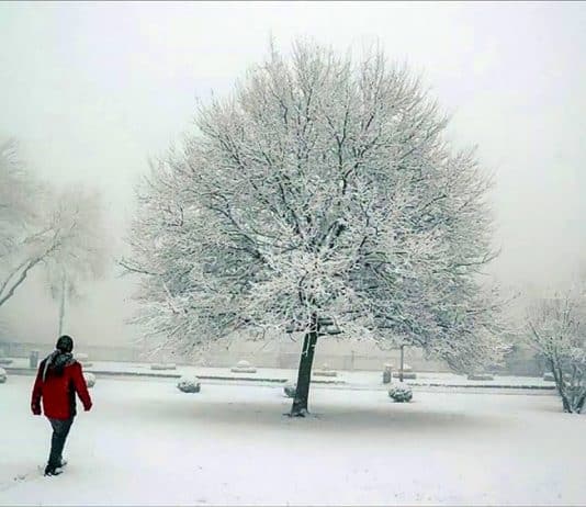 kar yağışı ne zaman