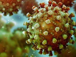 Türkiye mutasyonlu virüs alarmı: İl sayısı yükseliyor!