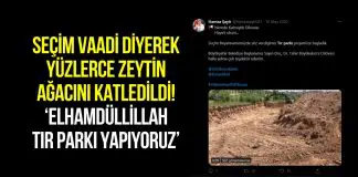 “Elhamdülillah tır parkı yapıyoruz” deyip, yüzlerce zeytin ağacı katledildi! dilovası tır parkı