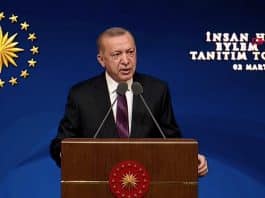 erdoğan insan hakları eylem planı