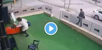 Vicdansız kadın uyuyan hamile kediye önce vurdu sonra elindeki çantayı fırlattı Vicdansız kadın uyuyan hamile kediye