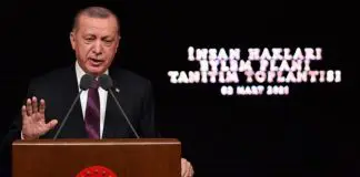 İnsan hakları eylemSİZLİK planı insan hakları eylemsizlik