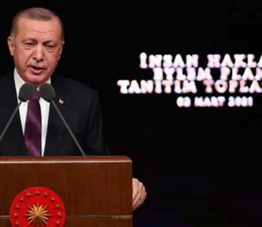 insan hakları eylemsizlik