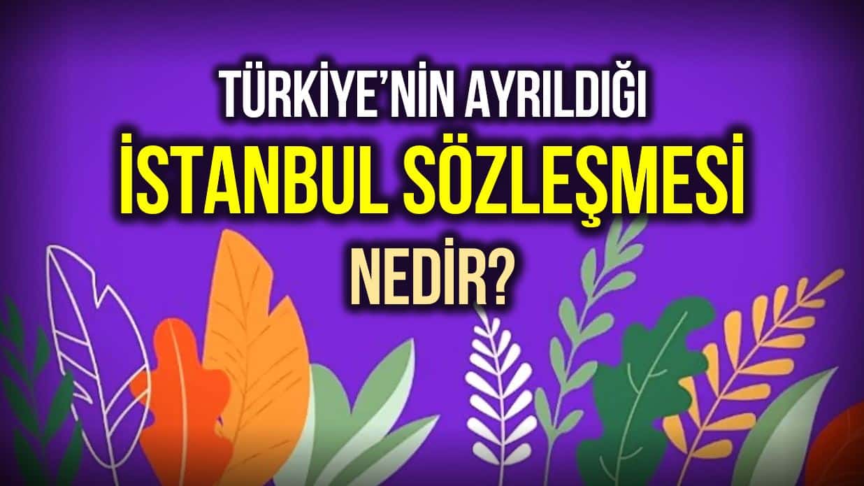 İstanbul Sözleşmesi nedir? 