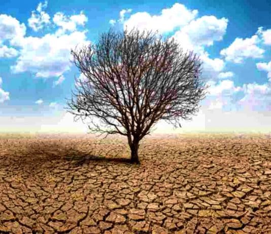 Küresel ısınma nasıl önlenir?