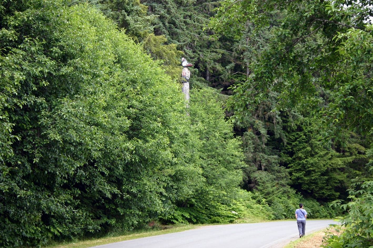 Alaska'da bir orman ve totem ağacı.