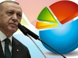 seçim anketi