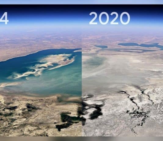 Google Earth Timelapse