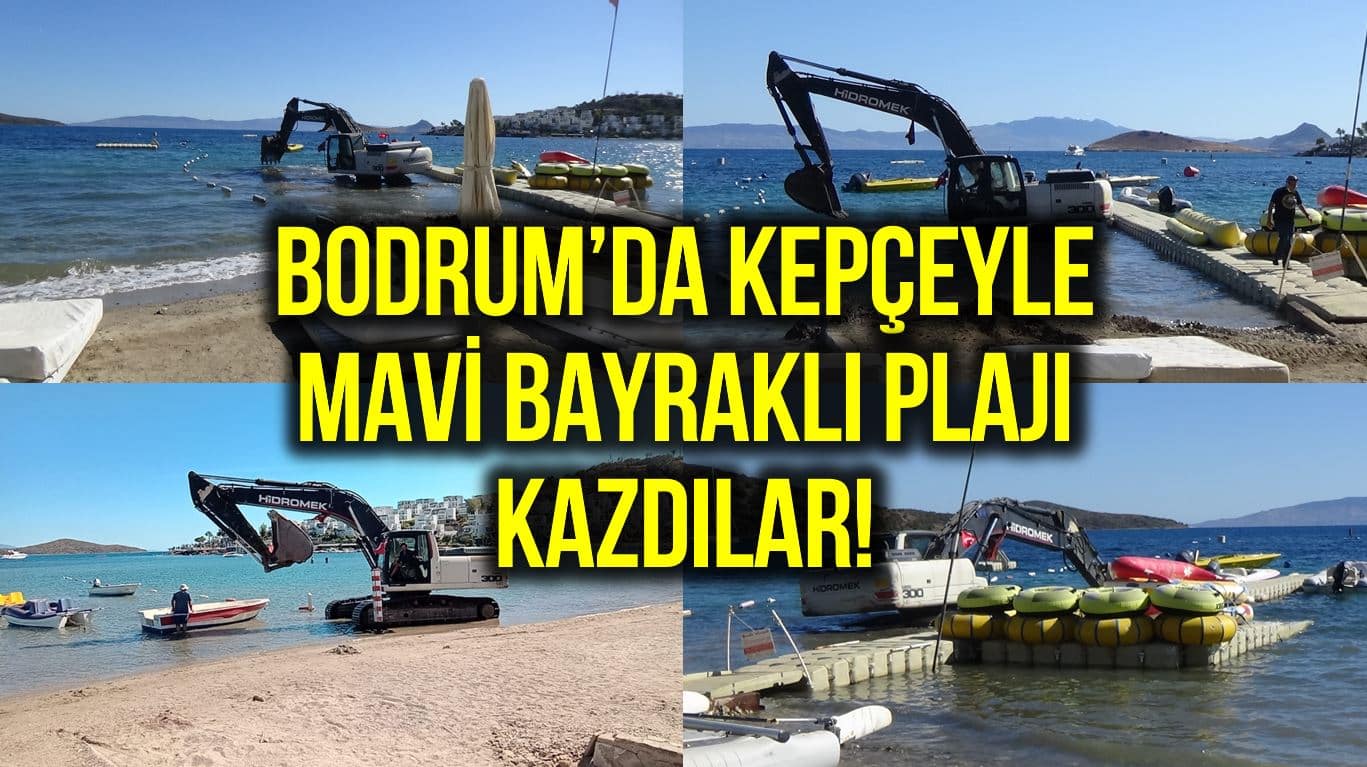 mavi bayraklı