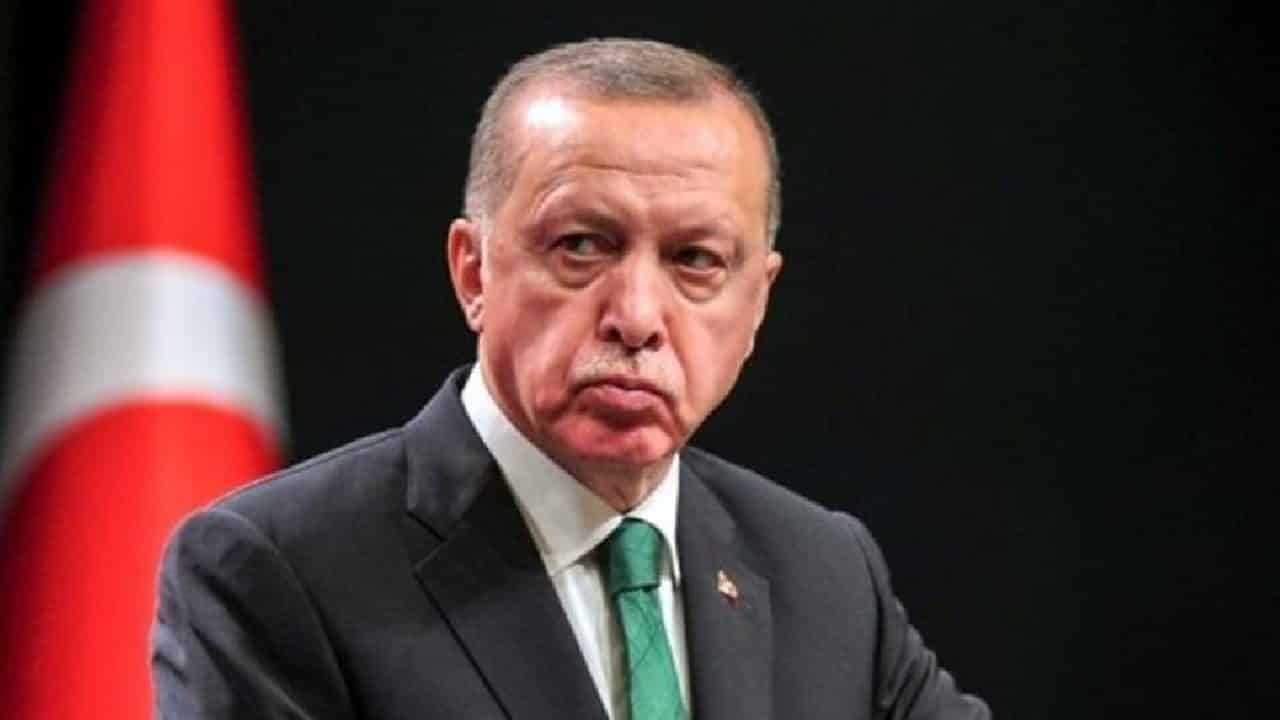 Erdoğan sedat peker