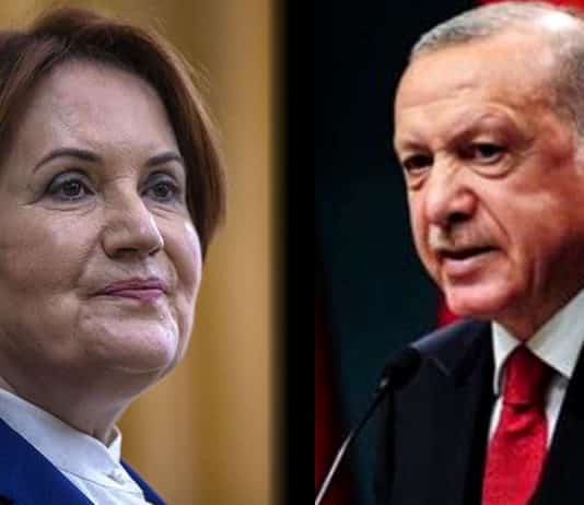 erdoğan akşener