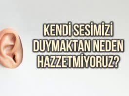 Kendi sesimizi