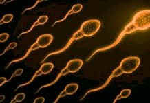 Araştırma: BionTech ve Moderna aşıları sperm sayısını artırıyor BionTech sperm