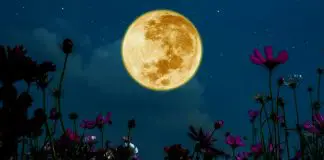 Astroloji: 24 Haziran Oğlak burcunda Dolunay burç yorumları Dolunay burç yorumları