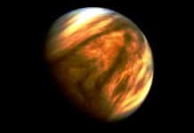 Astroloji: Venüs Yengeç transiti burç yorumları venüs burç yorumları