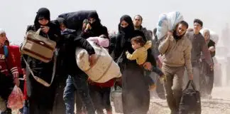 Türkiye’nin sığınmacı sorunu sığınmacı sorunu