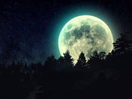 Dolunay burç yorumları