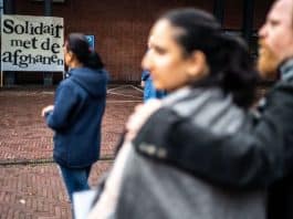 hollanda afgan