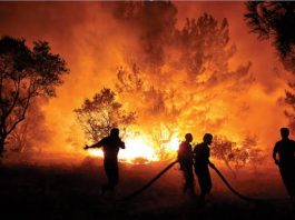 Rtük orman yangınları